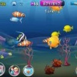 ikon Petualangan Ikan Kecil