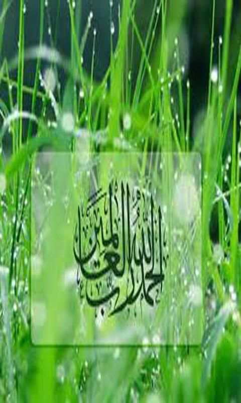 اجمل خلفيات اسلامية HD 1 تصوير الشاشة
