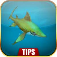 New Hungry Shark World Guide on 9Apps
