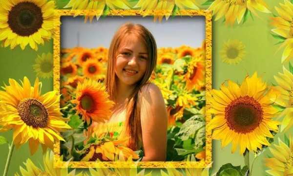 Sunflower Photo frames स्क्रीनशॉट 3