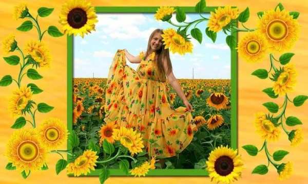 Sunflower Photo frames स्क्रीनशॉट 2