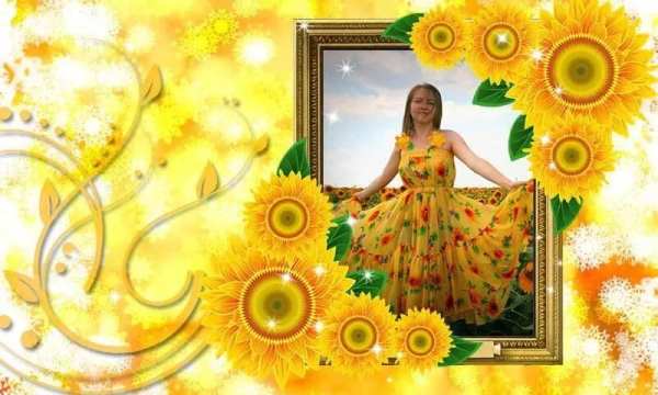 Sunflower Photo frames स्क्रीनशॉट 1