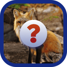 Animal Quiz أيقونة