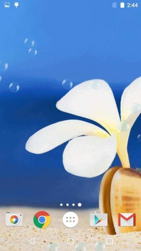 Sea Shell Live Wallpaper HD screenshot 7