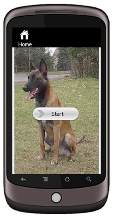 Belgian Malinois скриншот 1