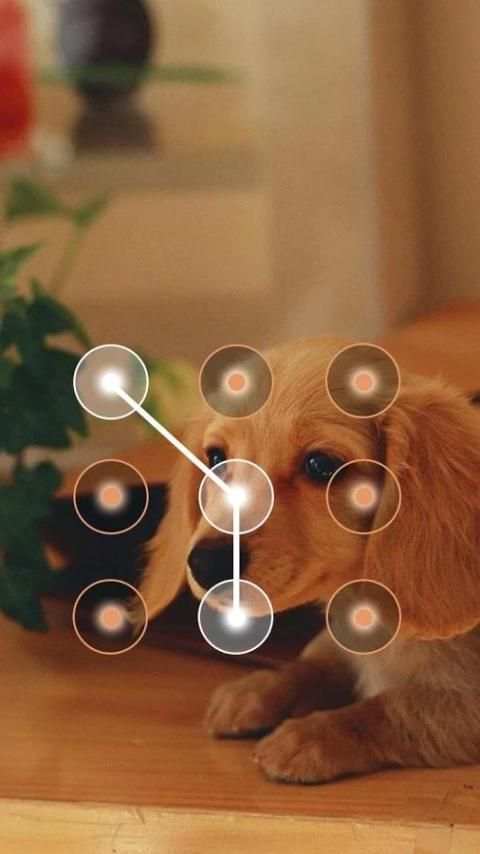 Privacy Guard скриншот 2