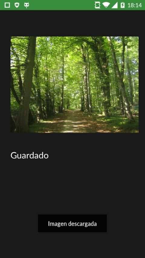 Descargar imágenes screenshot 4