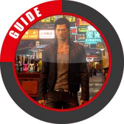 Guide for Sleeping Dogs 3.7