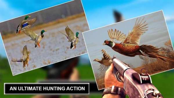 Jungle Sniper Birds Hunter screenshot 4
