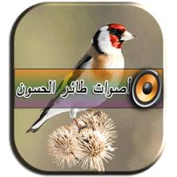 أصوات طائر الحسون 1.0