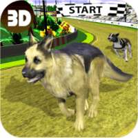 Real Dog Racing Championship