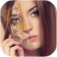 Animal face changer Face swap on 9Apps