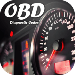ikon OBD Diagnostic Codes 2016