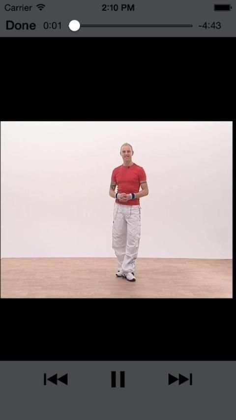 Salsa Dance Lessons скриншот 2