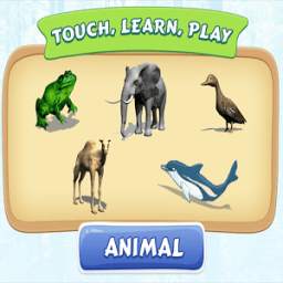 Touch Learn Play Animal