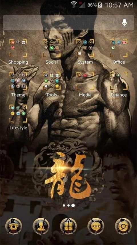 Theme for Bruce Lee screenshot 1