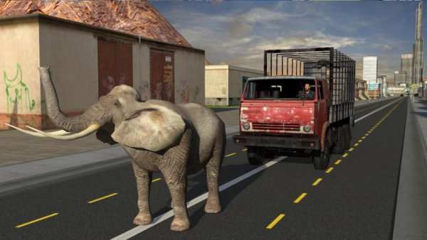 Elephant Racing Simulator 2016 स्क्रीनशॉट 12