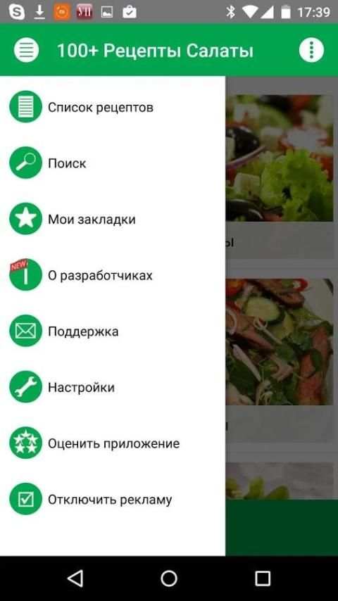 100+ Recipes Salads screenshot 5