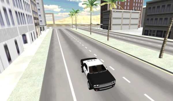 Police Car Racer 3D screenshot 1