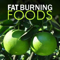 Fat Burning Foods