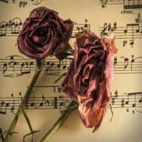 Tamil Old Love Songs Videos иконка