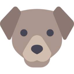 1 foto 1 de animales 2.1.5e