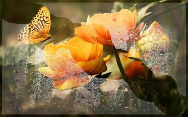 Autumn Flowers HD screenshot 1