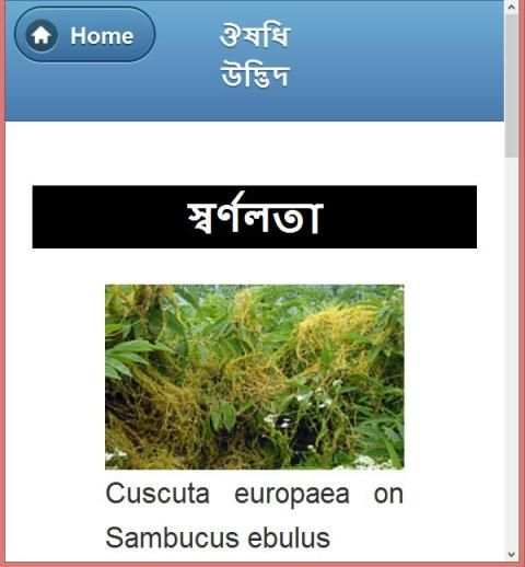 ভেষজ উদ্ভিদের ও ব্যবহার screenshot 5