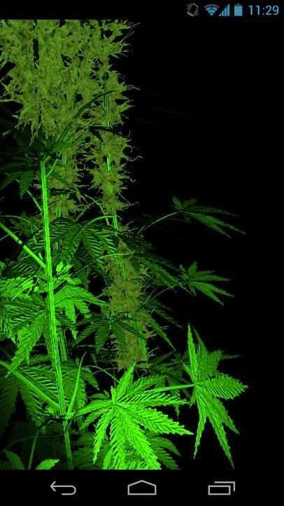 Weed 3D Live Wallpaper 3 تصوير الشاشة