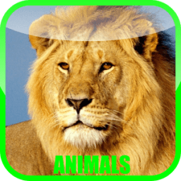 Animal Sounds Zoo icon