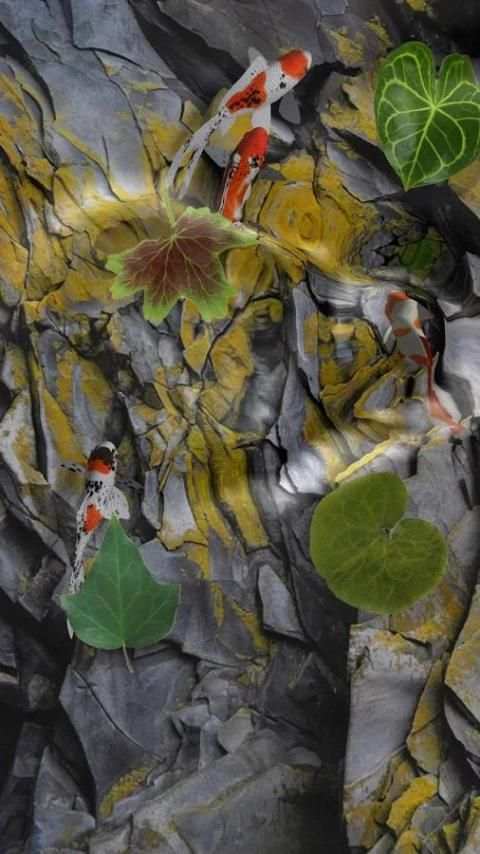 Wallpaper Hidup Koi Pond screenshot 13