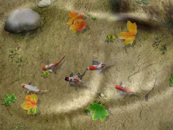 Wallpaper Hidup Koi Pond screenshot 5