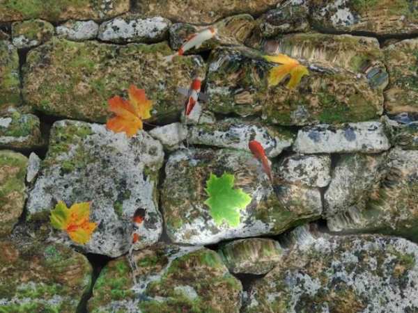 Wallpaper Hidup Koi Pond screenshot 6
