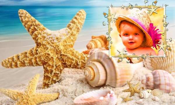 Shell Photo Frames screenshot 1