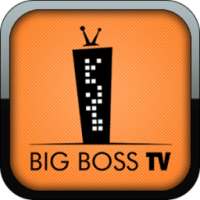 Big Boss TV Tycoon logo