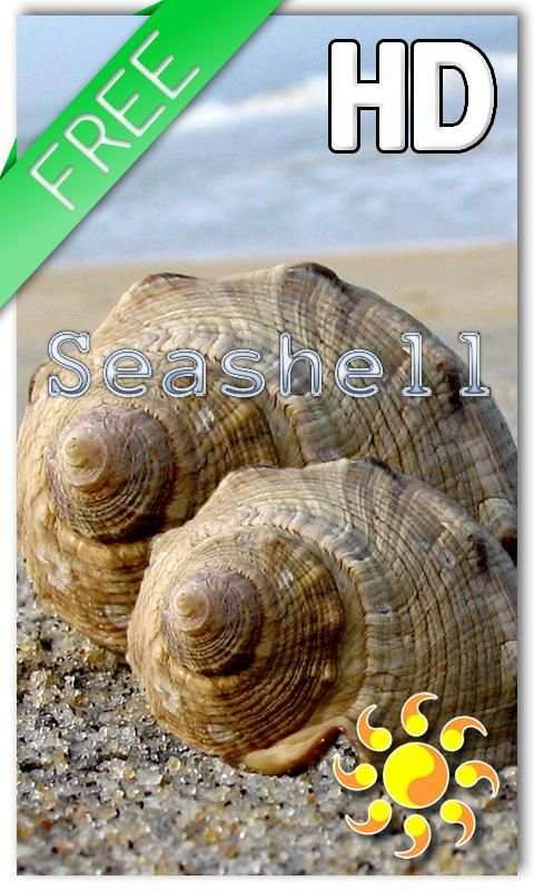 Sea shell Live Wallpaper screenshot 2