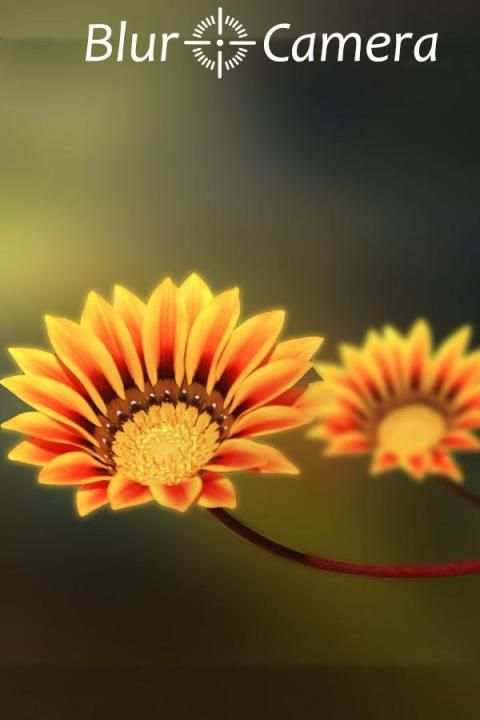 Blur camera - DSLR HD Camera screenshot 1