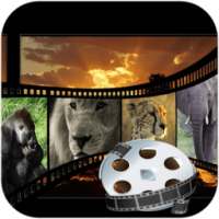edit photo to video free app أيقونة