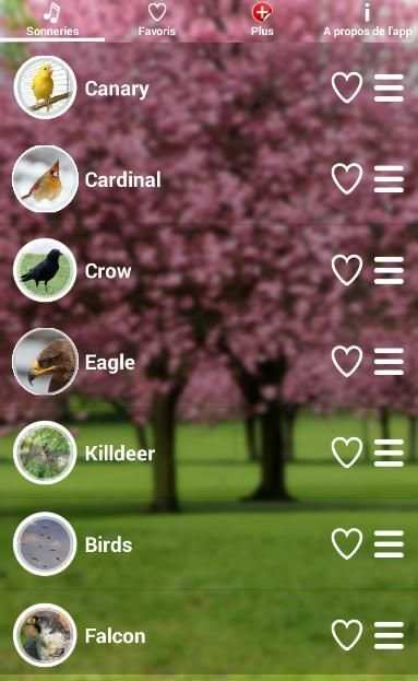 Birds Sound Ringtones скриншот 2