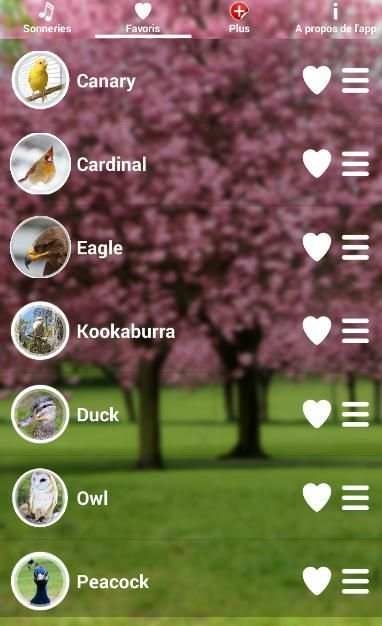 Birds Sound Ringtones screenshot 3