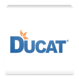 Ducat icon
