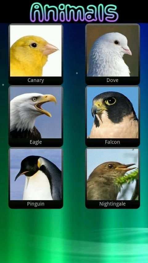 Animal Sounds for Children screenshot 5