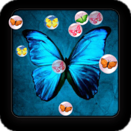 bubble butterfly shooter أيقونة