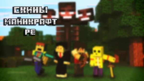 Скины для Майнкрафт PE screenshot 1