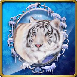 Slot - Wild Tiger