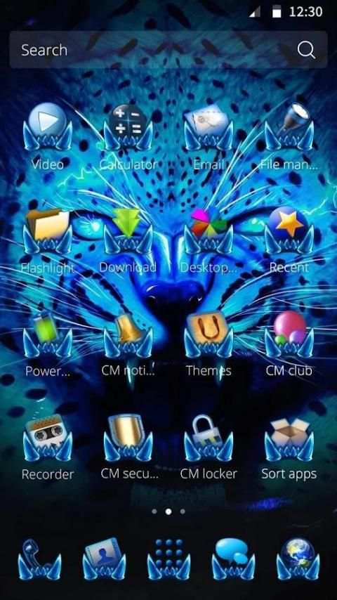 Leopard Theme screenshot 2
