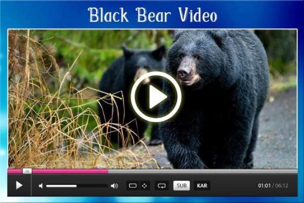 HD Video Player 5 تصوير الشاشة