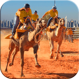 ikon Raja Rajasthan Camel Race