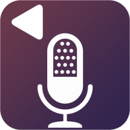 صوت عكسي في نهاية المطاف أيقونة