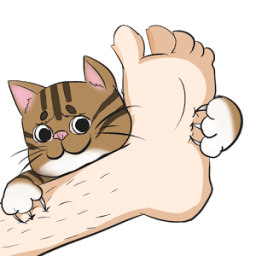 ikon Don't Trust Cat